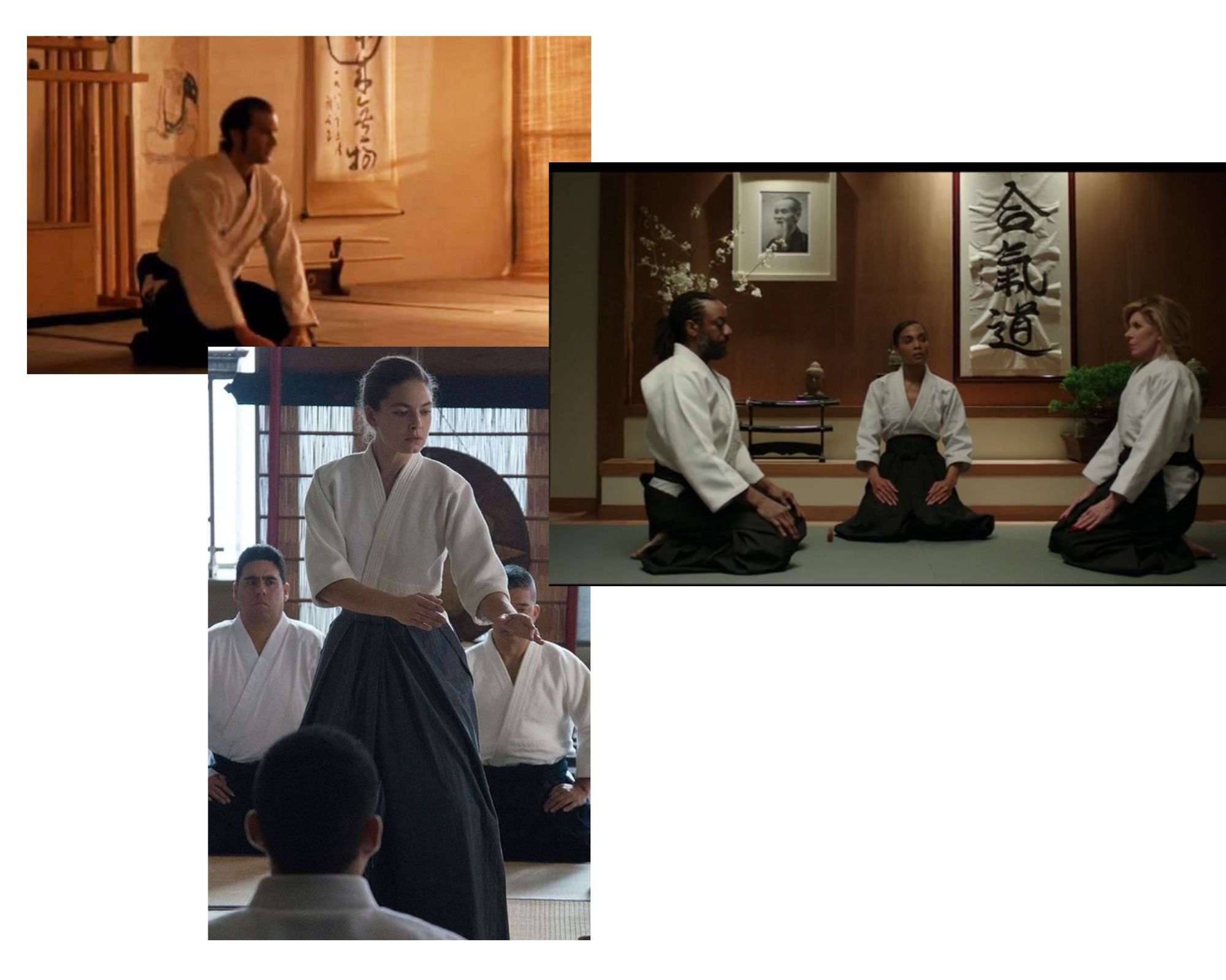  Aikido i film/serier. Above the Law (m. Steven Seagal), Man in the
        High Castle, The Good Fight